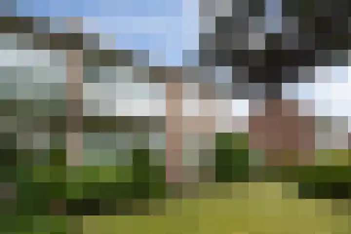 Doornakkerlaan 18 Boxtel thumbnail 60