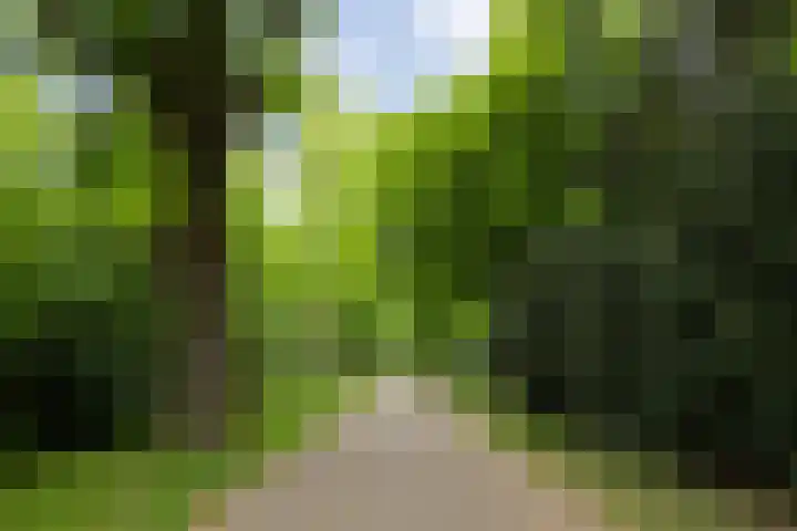 Doornakkerlaan 18 Boxtel thumbnail 63