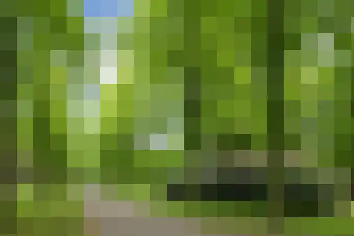 Doornakkerlaan 18 Boxtel thumbnail 64