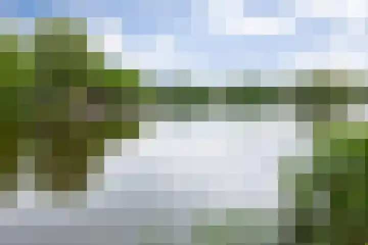 Doornakkerlaan 18 Boxtel thumbnail 66