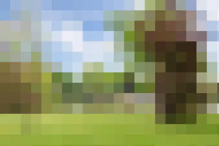 Doornakkerlaan 18 Boxtel thumbnail 65