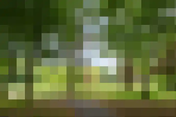 Doornakkerlaan 18 Boxtel thumbnail 66