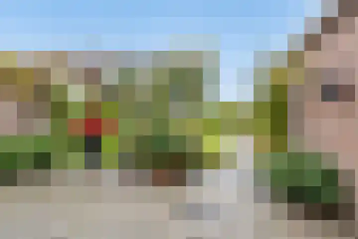 Doornakkers 16 Anloo thumbnail 16