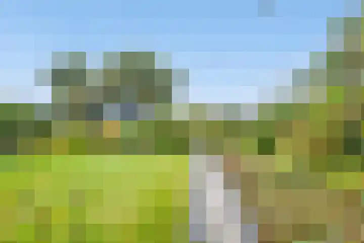 Doornakkers 16 Anloo thumbnail 18
