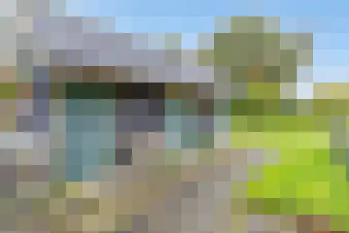 Doornakkers 16 Anloo thumbnail 19