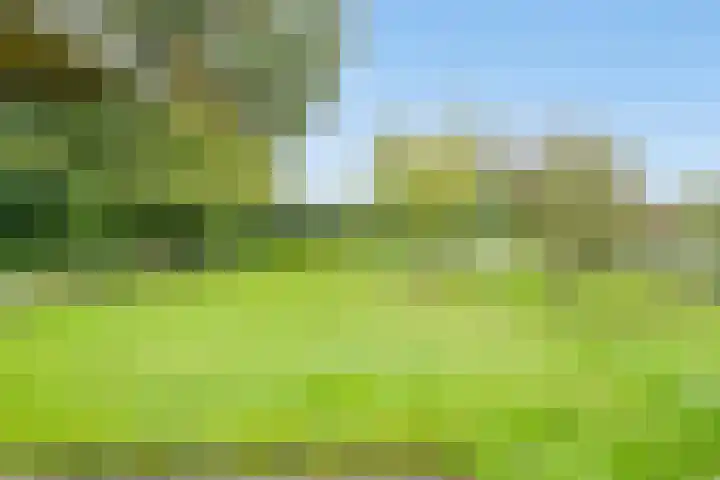 Doornakkers 16 Anloo thumbnail 20