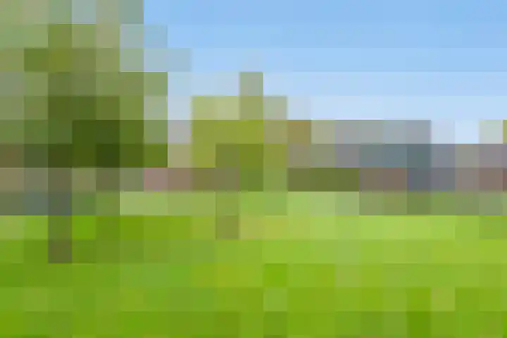 Doornakkers 16 Anloo thumbnail 21