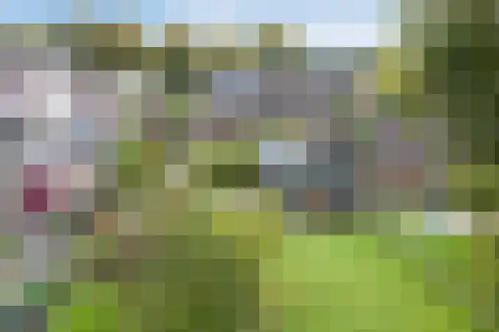 Doornakkers 16 Anloo thumbnail 23