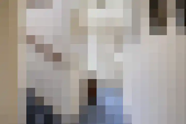 Doornakkers 16 Anloo thumbnail 27