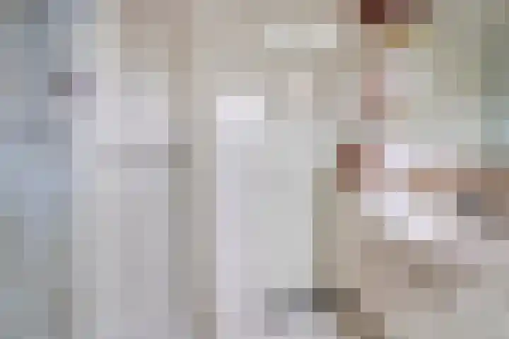 Doornakkers 16 Anloo thumbnail 35