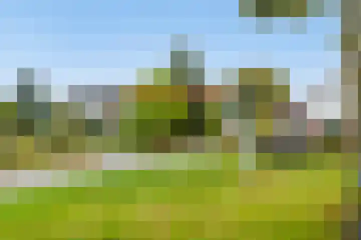 Doornakkers 16 Anloo thumbnail 37