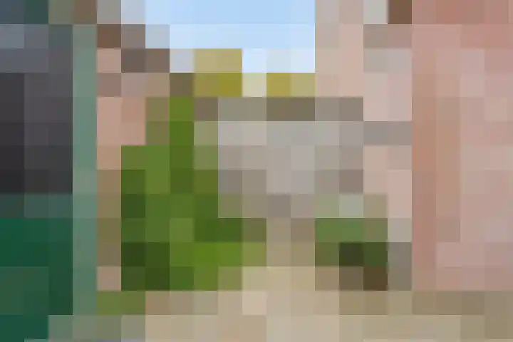Doornakkers 16 Anloo thumbnail 42