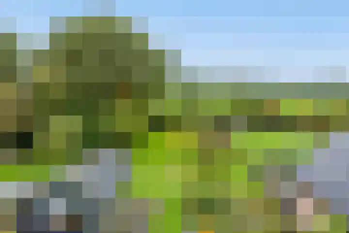 Doornakkers 16 Anloo thumbnail 44