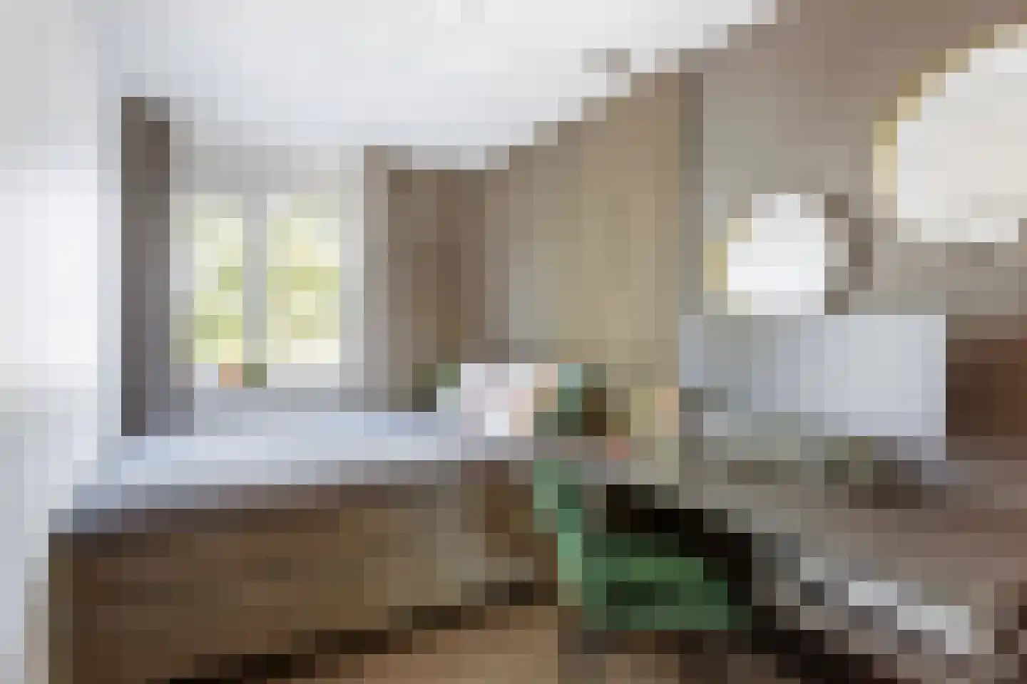 Doornappel 16 Oldenzaal thumbnail 17