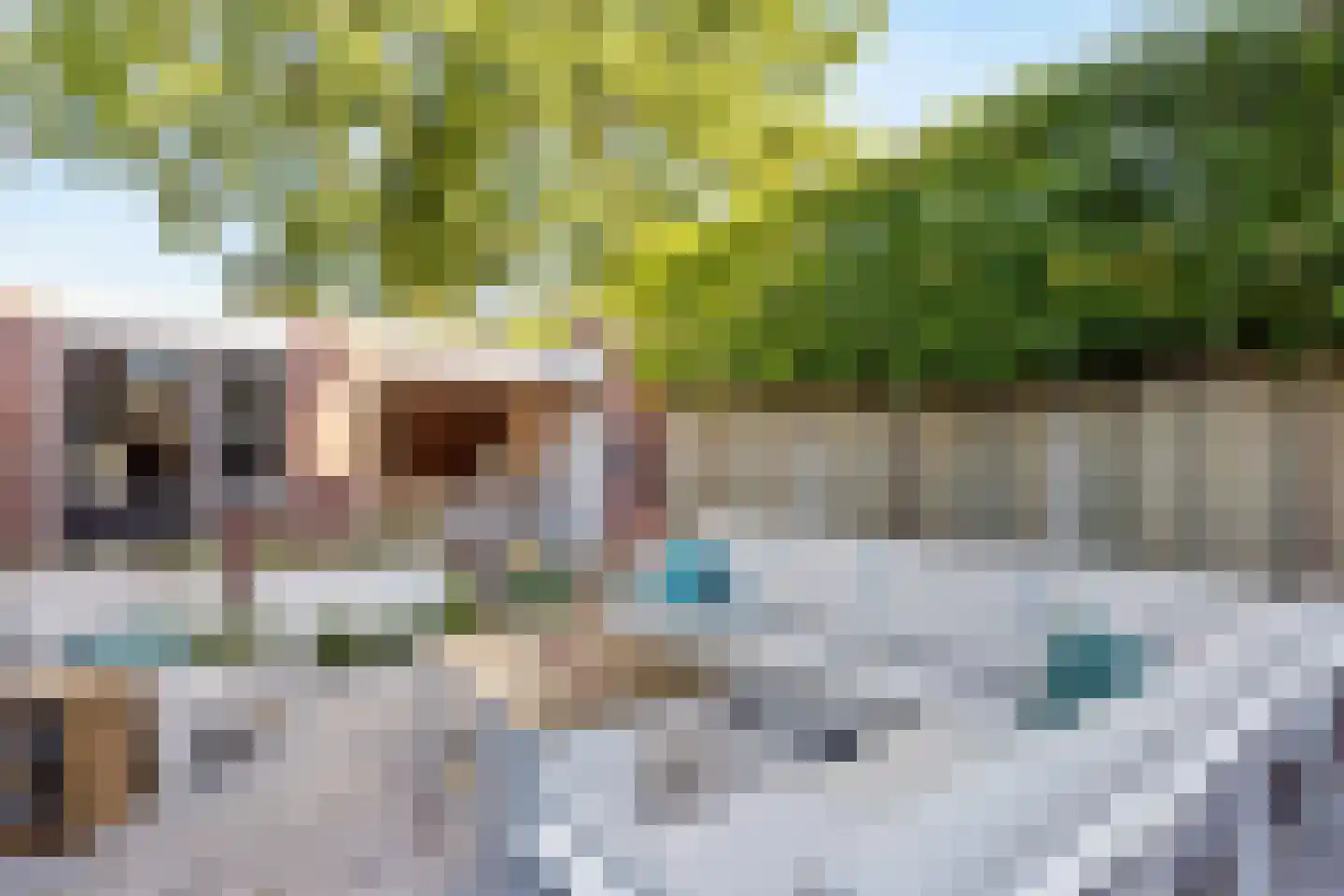 Doornappel 16 Oldenzaal thumbnail 23