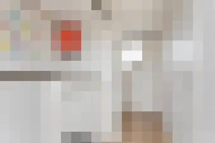 Doornappel 2 Heemskerk thumbnail 15