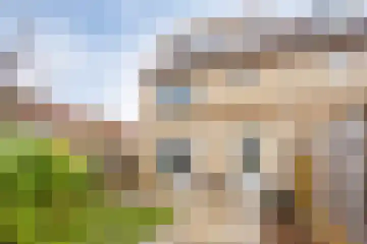 Doornappel 2 Heemskerk thumbnail 18