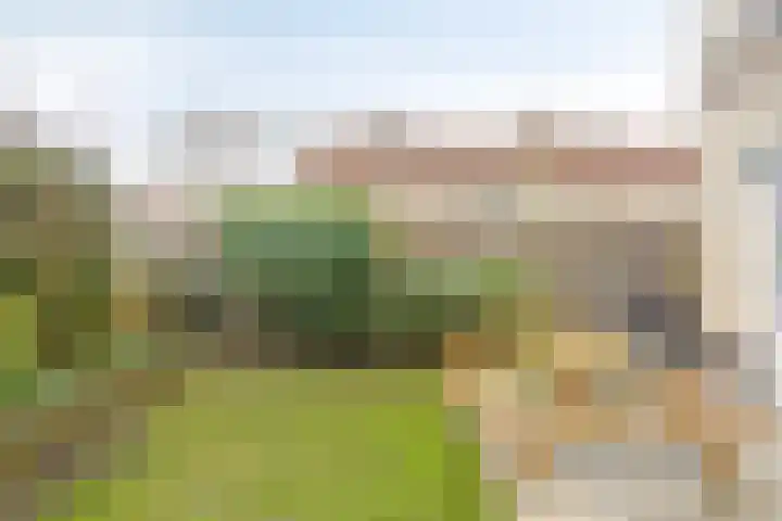 Doornappel 2 Heemskerk thumbnail 20