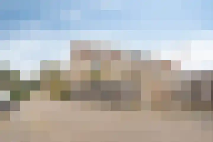 Doornappel 2 Heemskerk thumbnail 22