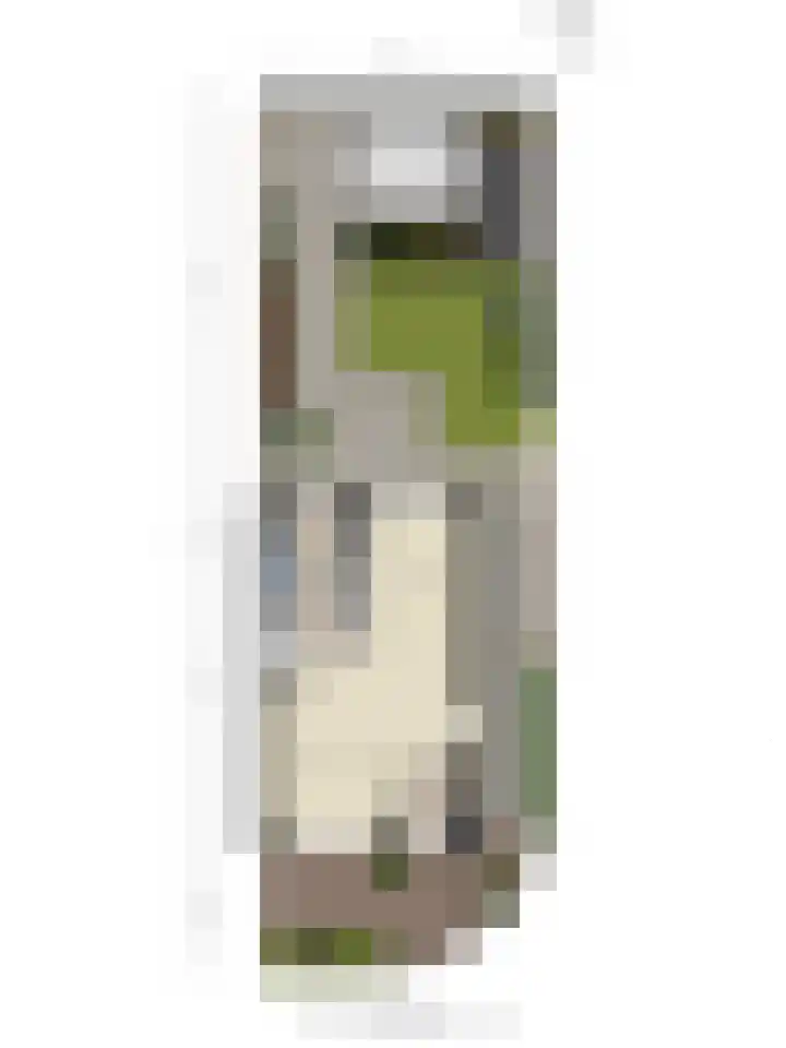 Doornappel 2 Heemskerk thumbnail 26
