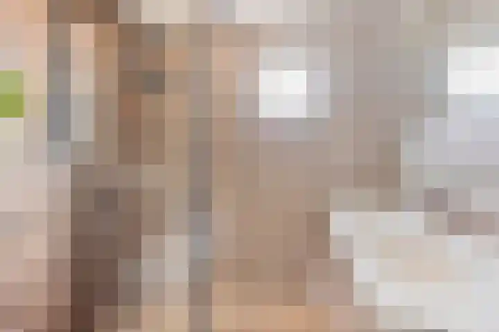 Doornappel 2 Heemskerk thumbnail 9