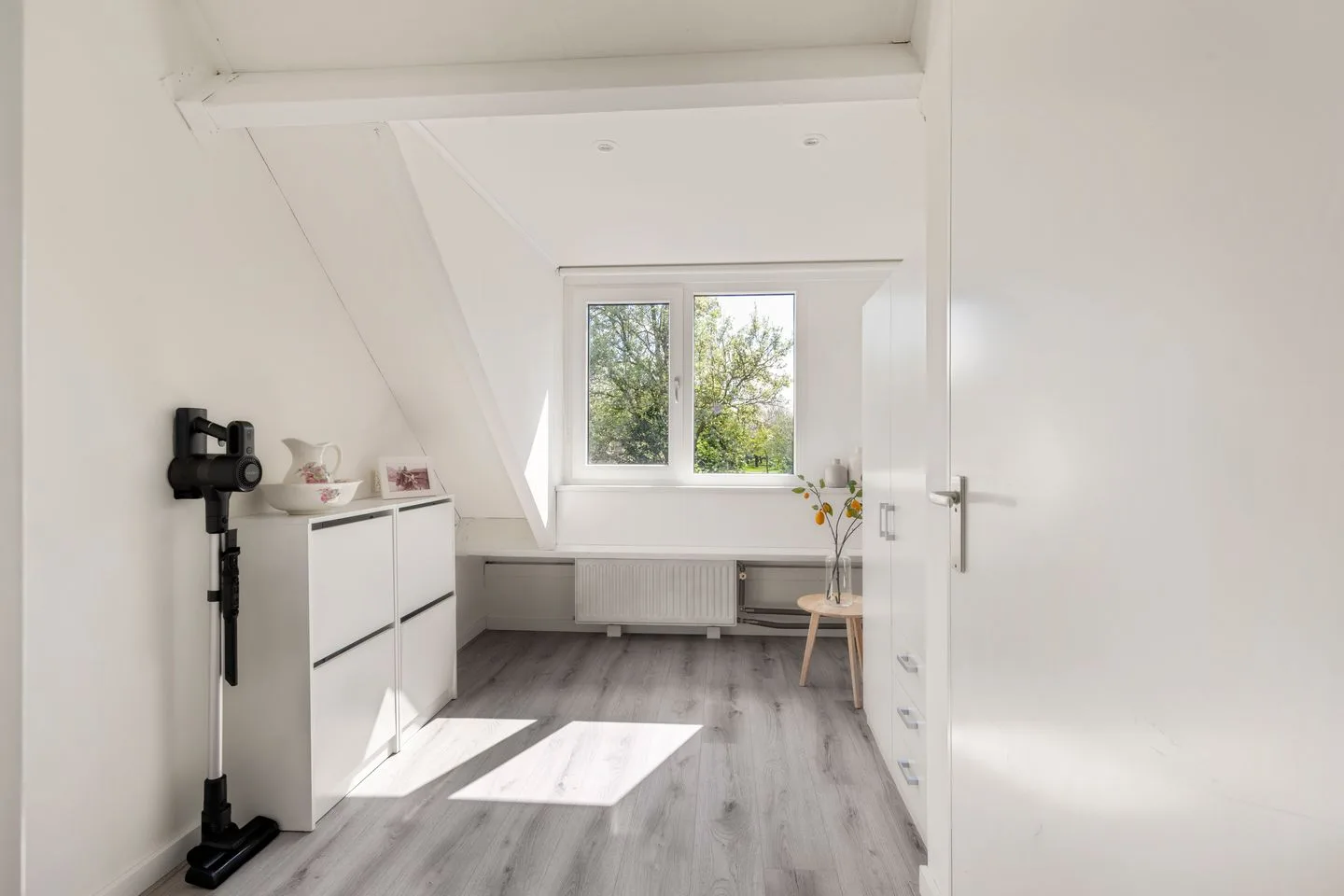 Doornappel 36 Heemskerk thumbnail 29