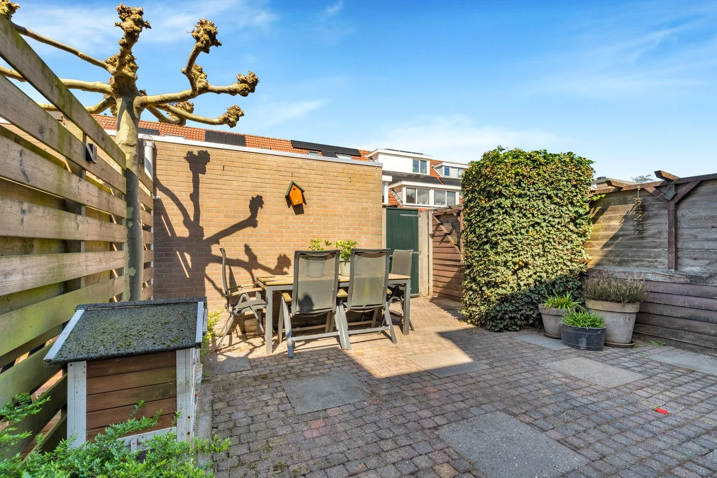 Doornappel 36 Heemskerk thumbnail 45