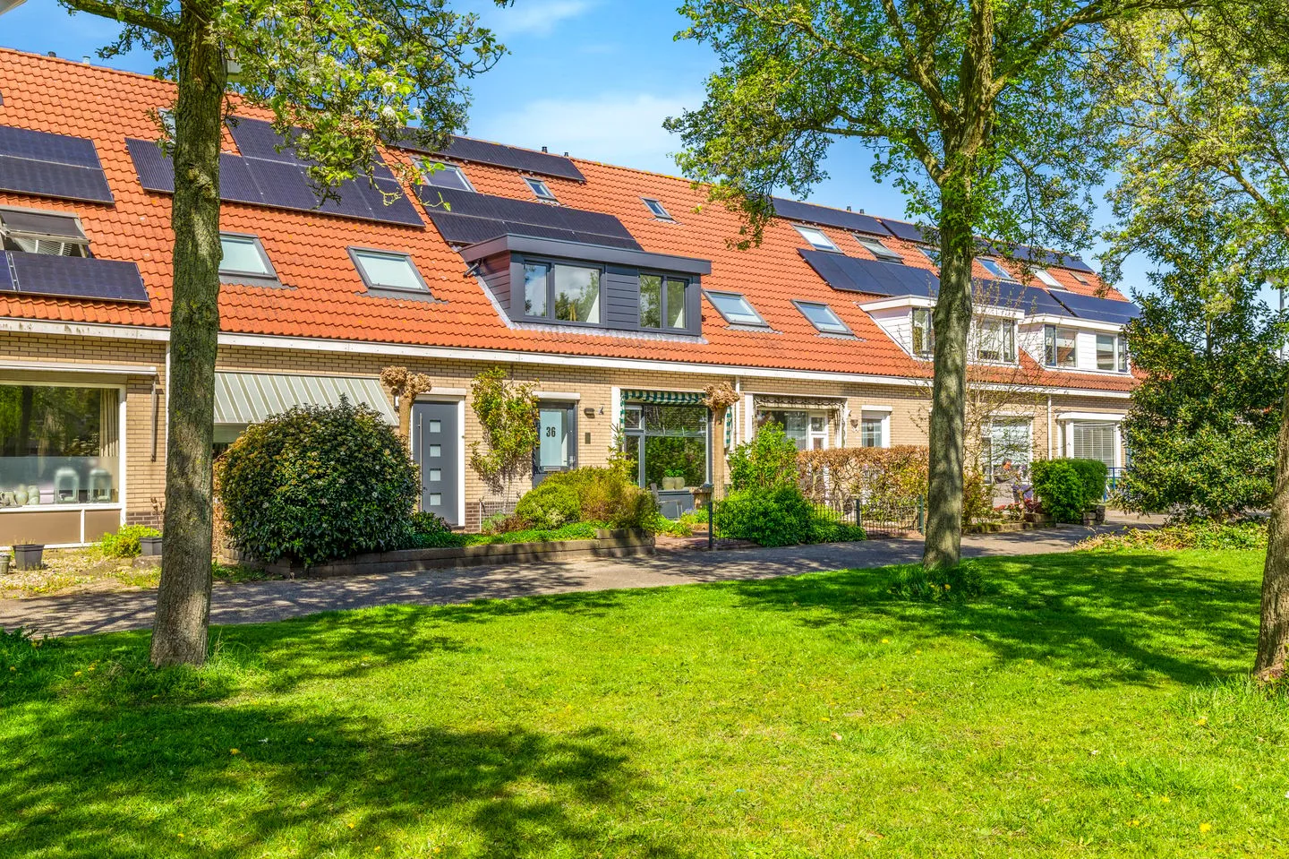 Doornappel 36 Heemskerk thumbnail 51