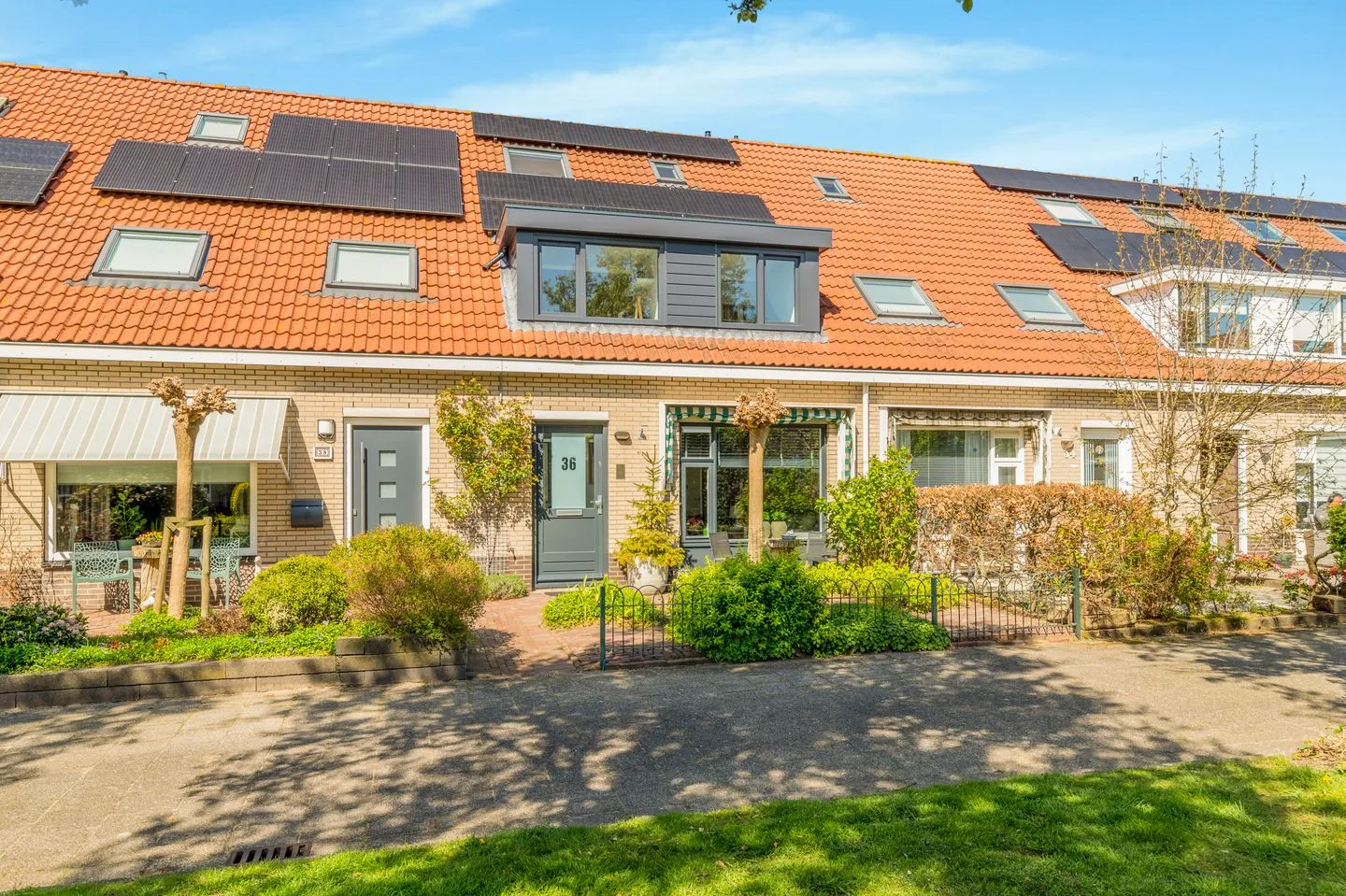 Doornappel 36 Heemskerk thumbnail 52