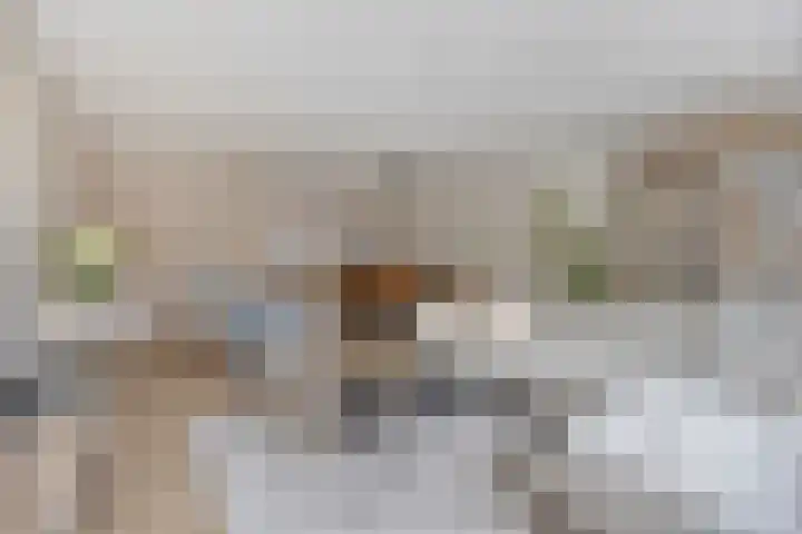 Doornappel 8 Oldenzaal thumbnail 10