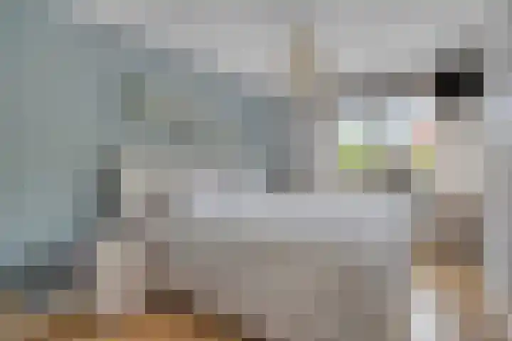 Doornappel 8 Oldenzaal thumbnail 13