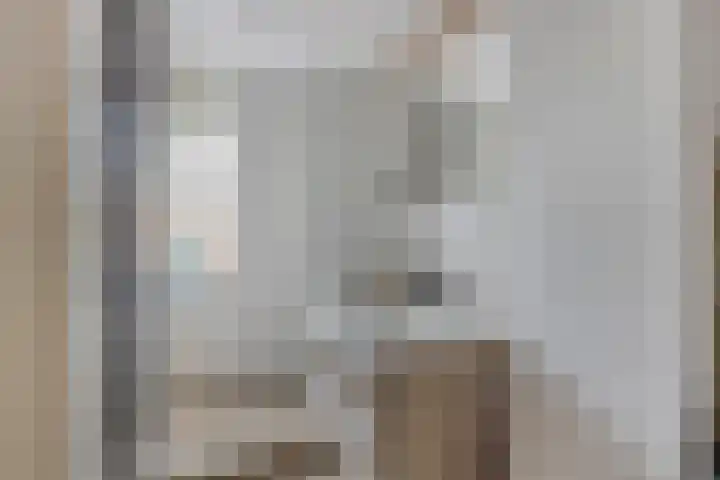 Doornappel 8 Oldenzaal thumbnail 17