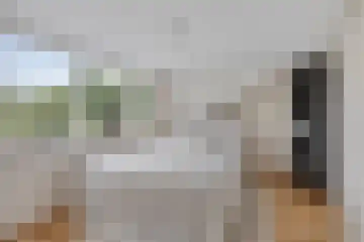 Doornappel 8 Oldenzaal thumbnail 20