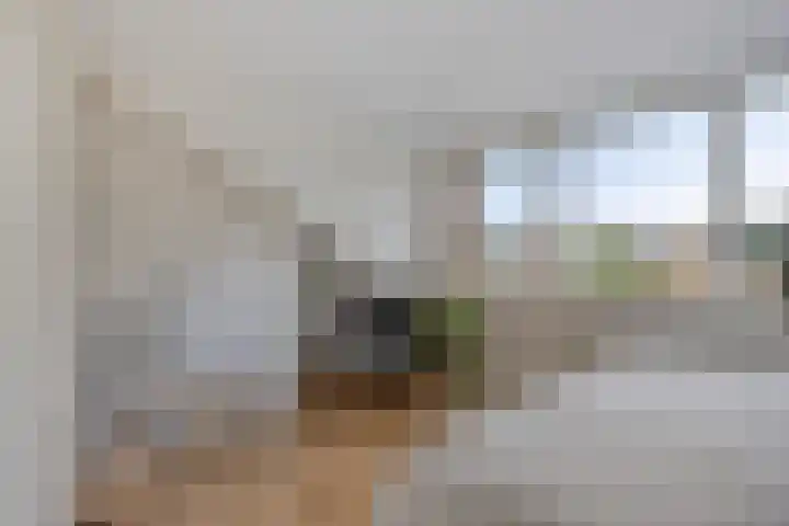 Doornappel 8 Oldenzaal thumbnail 21