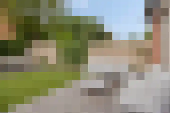 Doornappel 8 Oldenzaal thumbnail 23