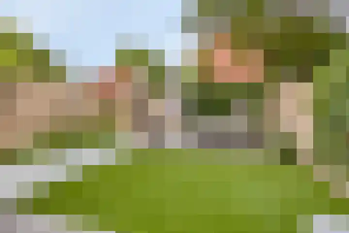 Doornappel 8 Oldenzaal thumbnail 24