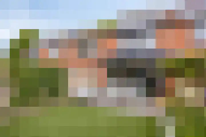 Doornappel 8 Oldenzaal thumbnail 26