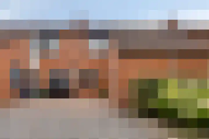Doornappel 8 Oldenzaal thumbnail 27