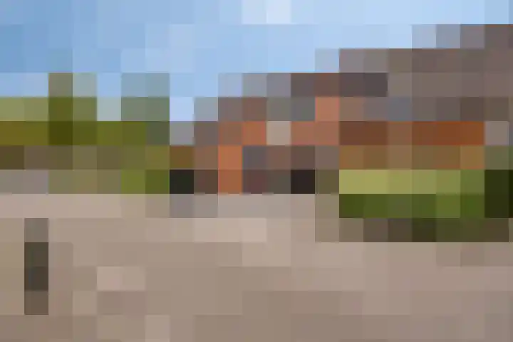 Doornappel 8 Oldenzaal thumbnail 28
