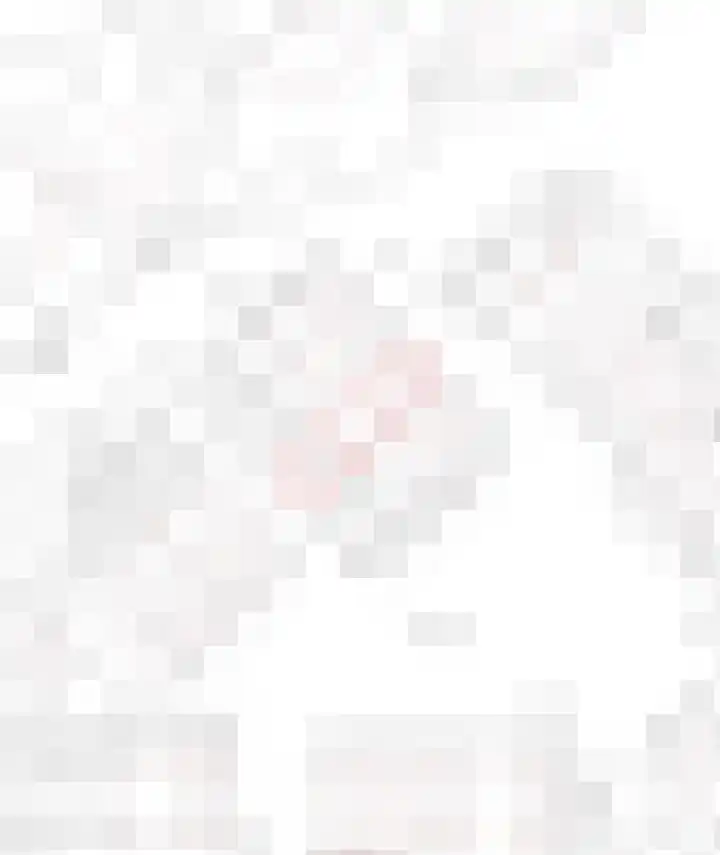 Doornappel 8 Oldenzaal thumbnail 34