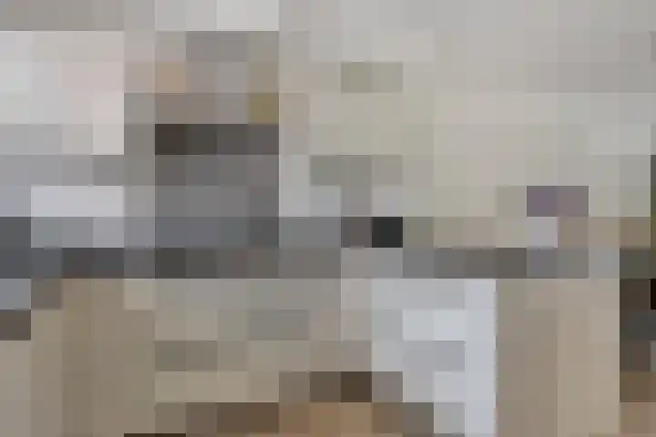 Doornappel 8 Oldenzaal thumbnail 4
