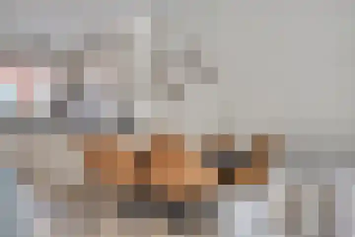 Doornappel 8 Oldenzaal thumbnail 6