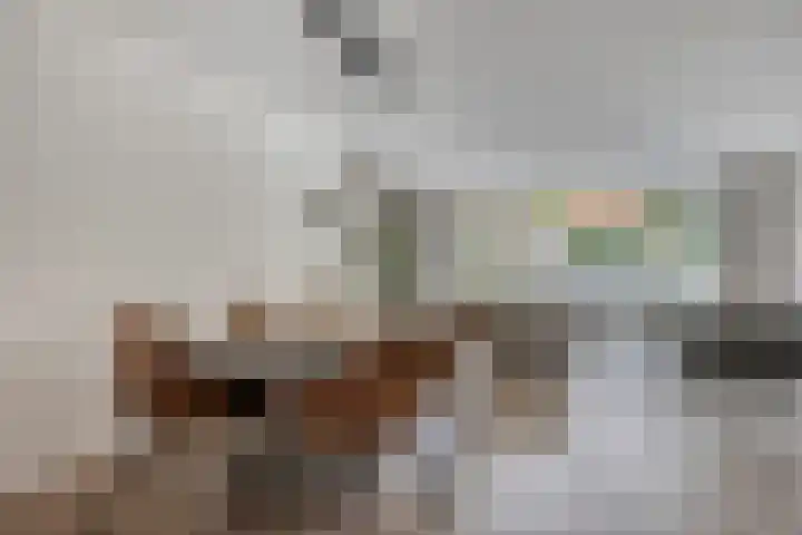 Doornappel 8 Oldenzaal thumbnail 7