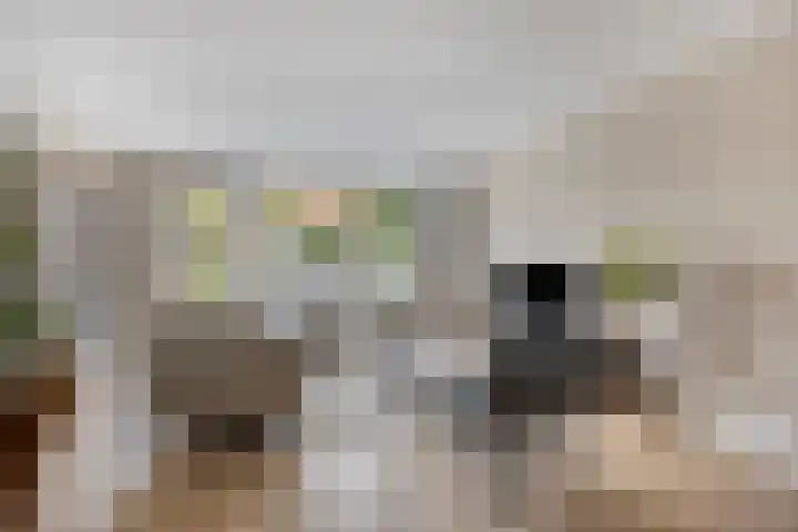 Doornappel 8 Oldenzaal thumbnail 8