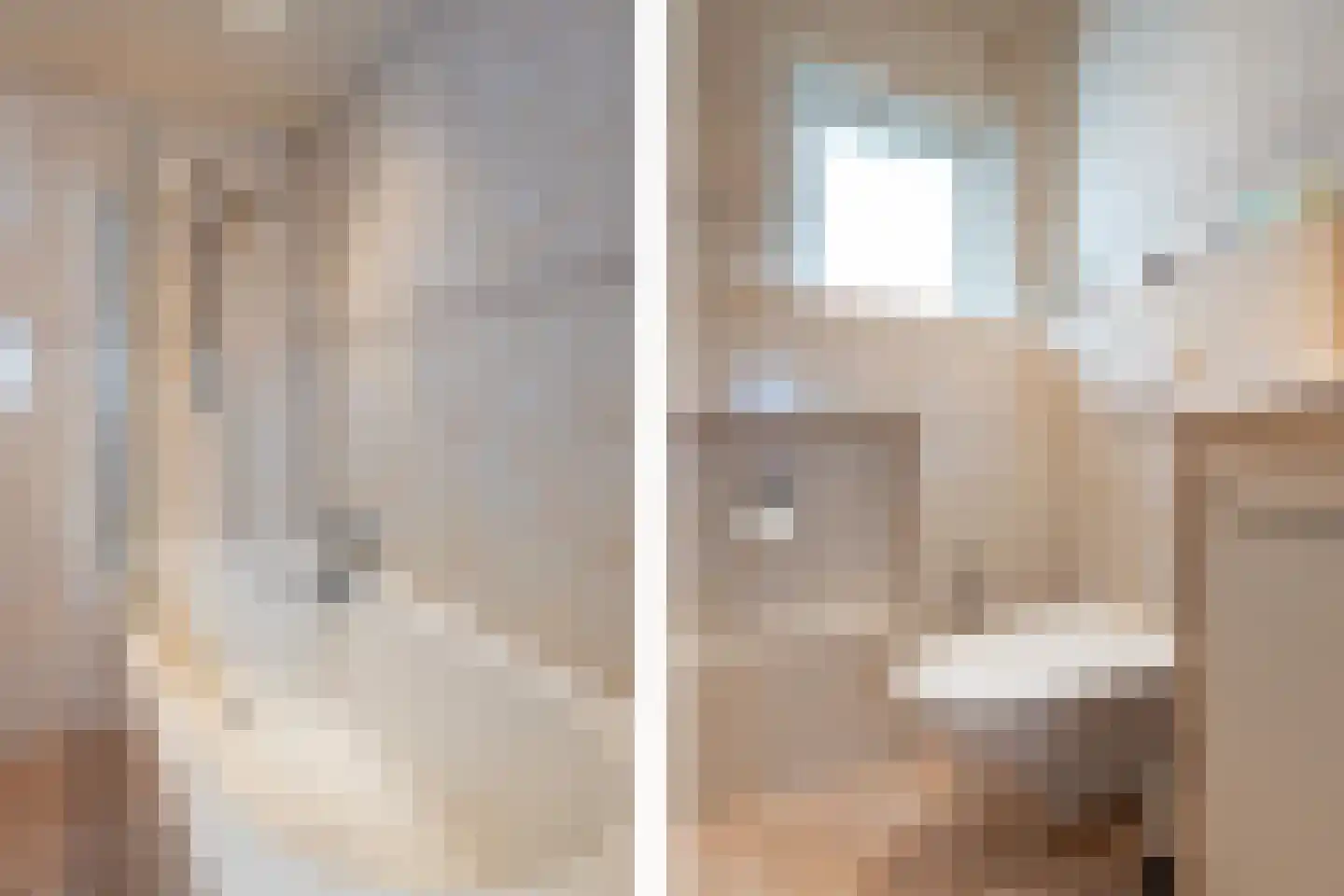 Doornappel 8 Voerendaal thumbnail 20