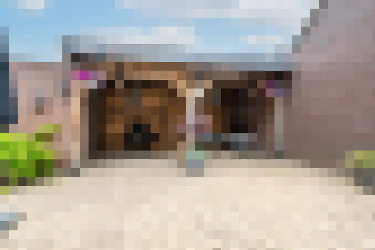 Doornappel 8 Voerendaal thumbnail 25