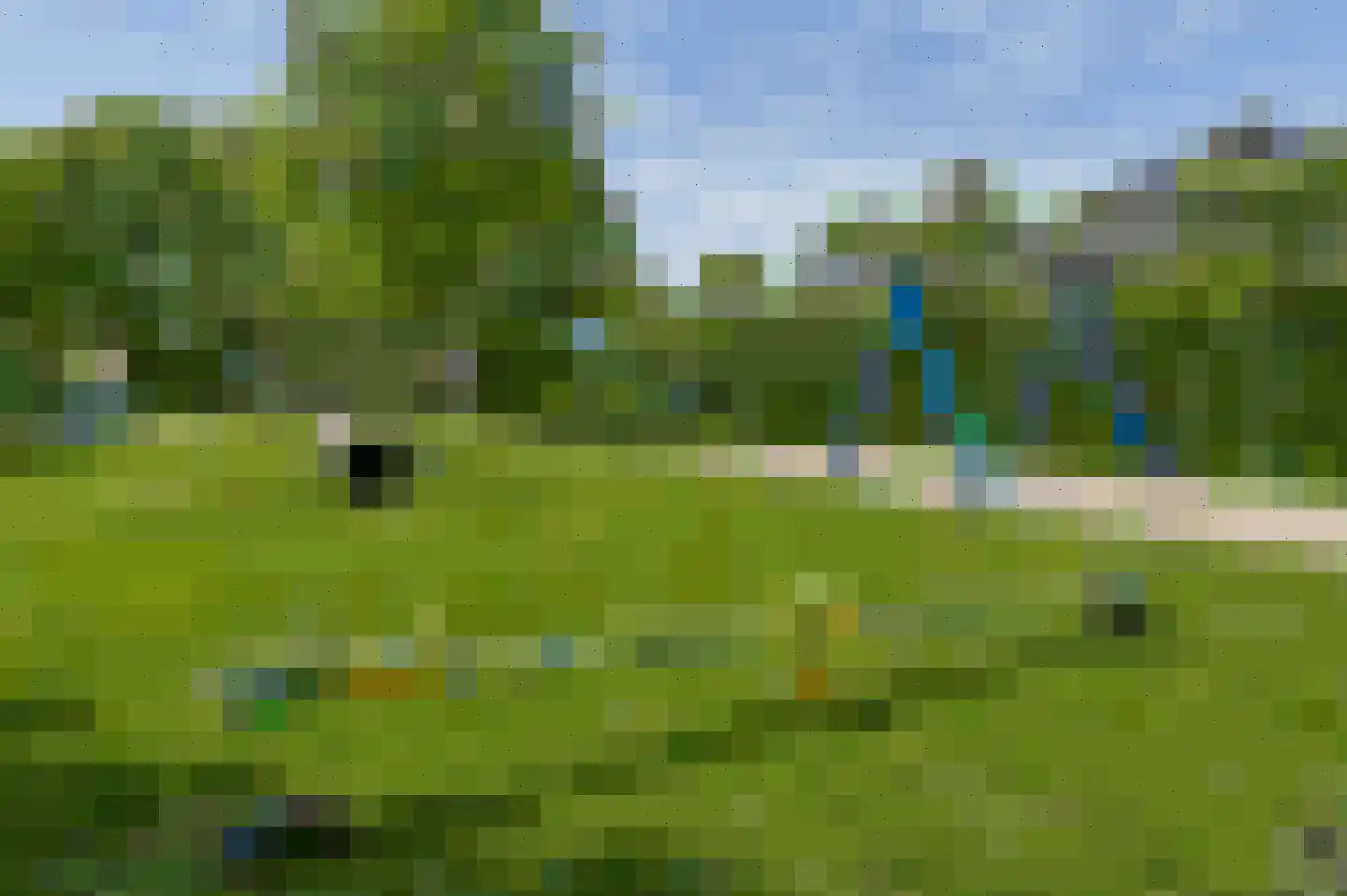 Doornappel 8 Voerendaal thumbnail 30