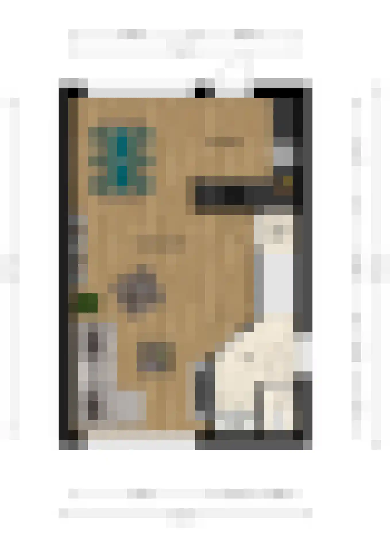 Doornappel 8 Voerendaal thumbnail 32