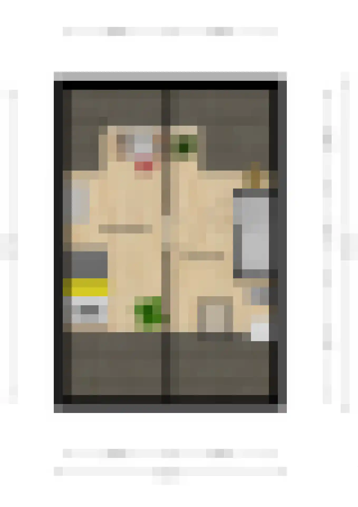 Doornappel 8 Voerendaal thumbnail 34
