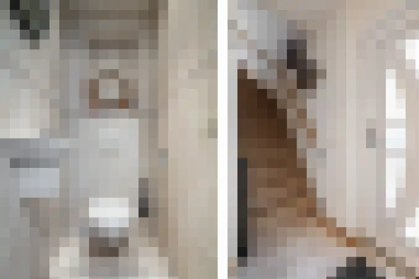 Doornappel 8 Voerendaal thumbnail 6